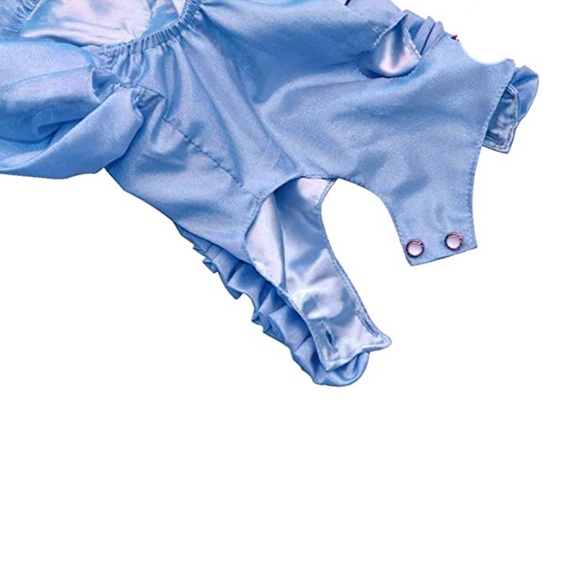 Blue Ruffled Dress for Dogs - Picture 4 of 5